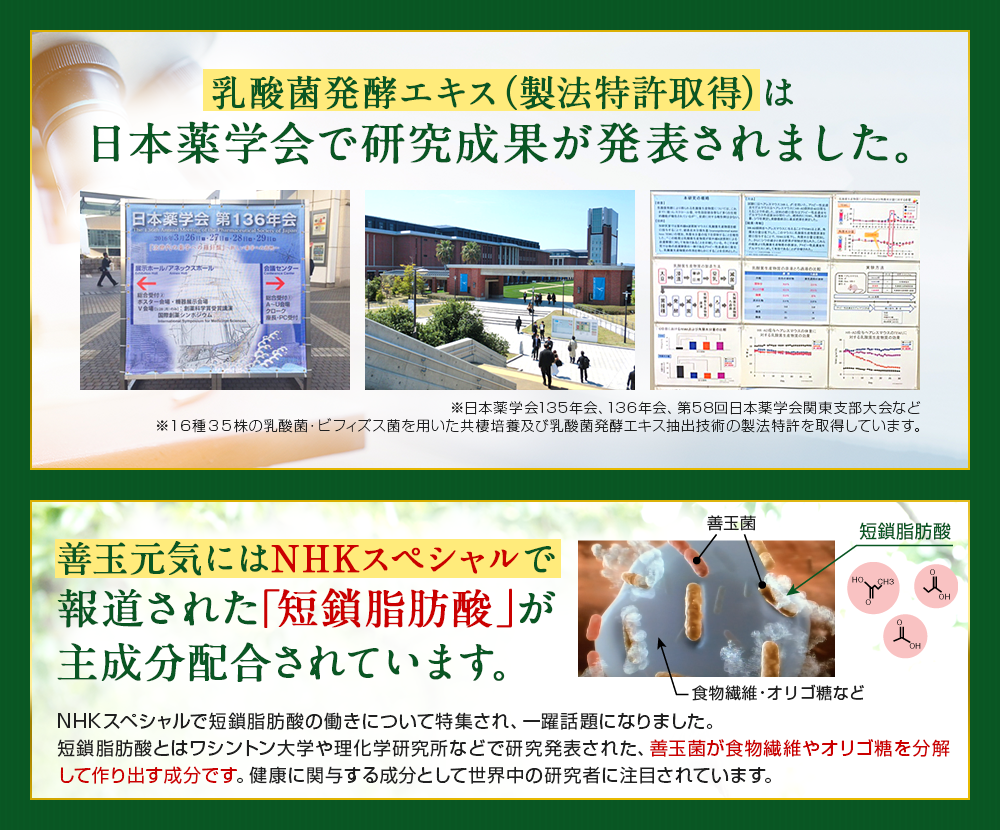 乳酸菌発酵エキス（製法特許取得）は日本薬学会で研究成果が発表されました