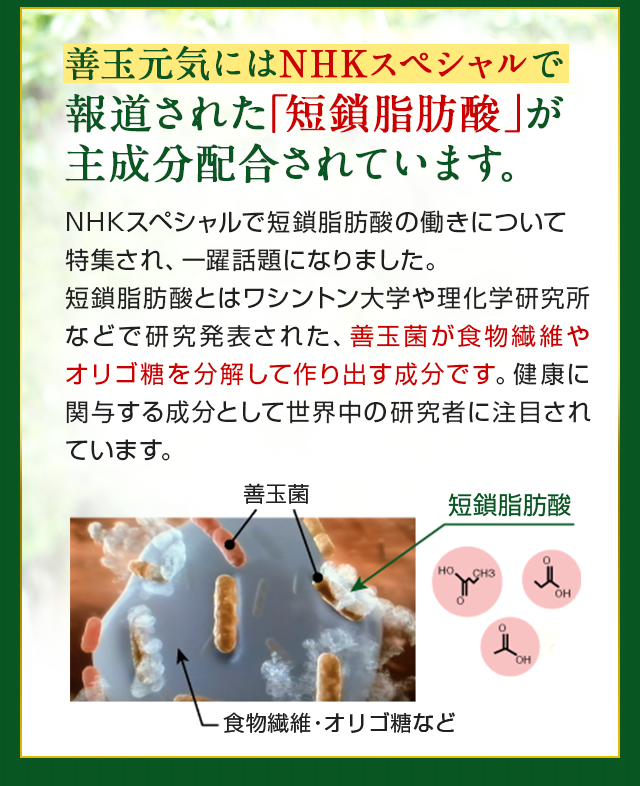 NHKスペシャルで報道された短鎖脂肪酸が主成分配合されています